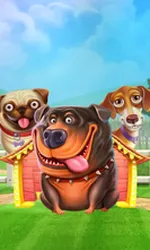 The Dog House